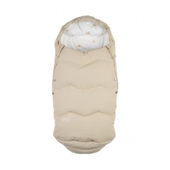 Voksi Explorer seashell sand.jpg