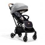 Joie Tourist Buggy "signature carbon"